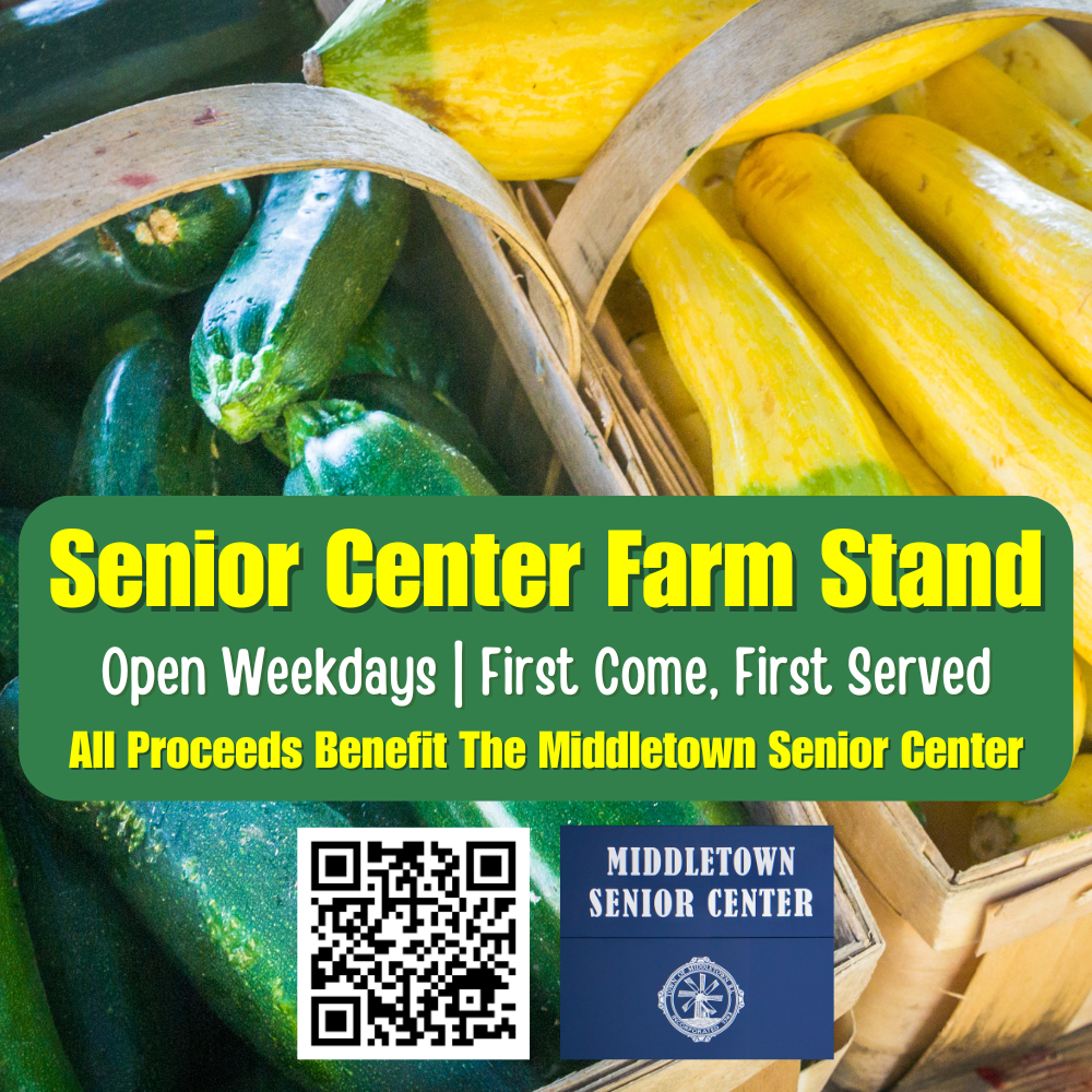 Senior Center Farm Stand Graphic Zucchini And Squash 73125
