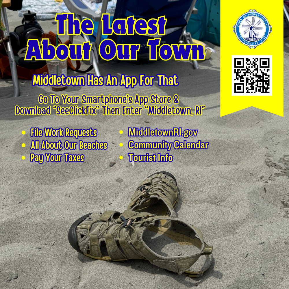Middletown App Graphic Beach Shoes