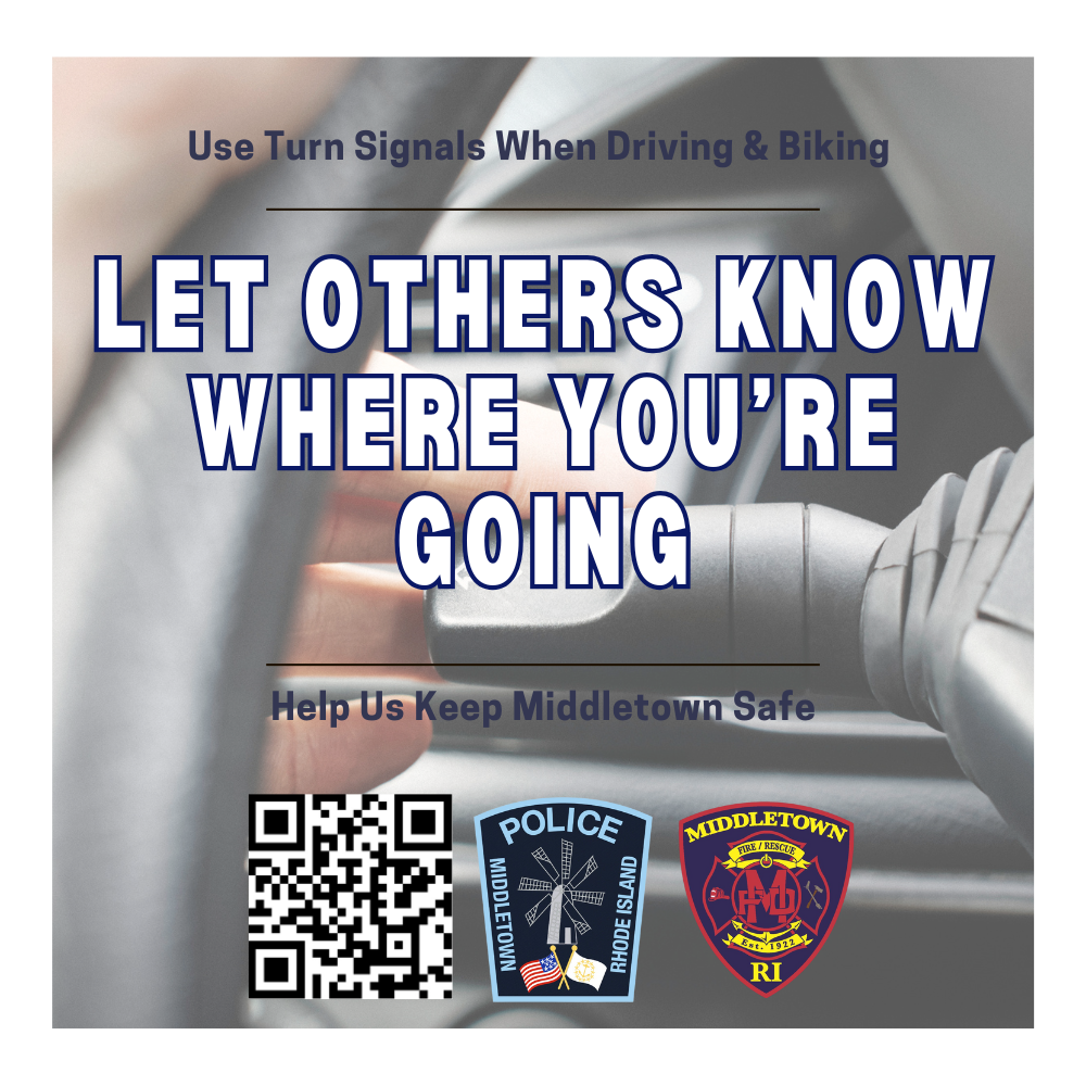 Public Safety Series Turn Signals Graphic With Image Of Driver Behind The Wheel 10725