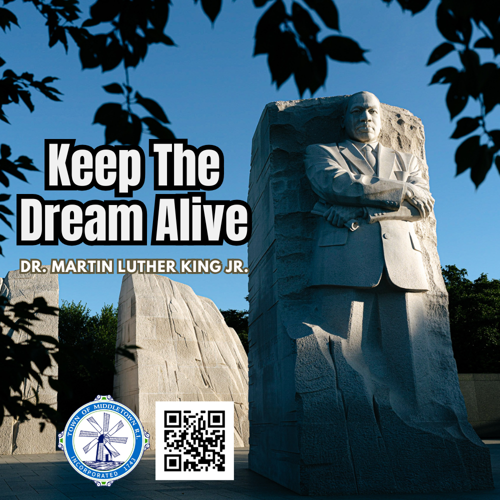MLK Dream Graphic 11926