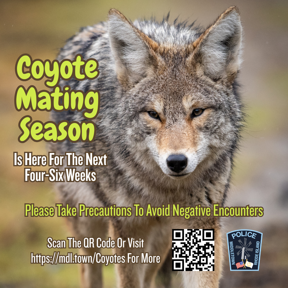 Coyote Management PSA From Animal Control Officer Olivia Garcia 2426