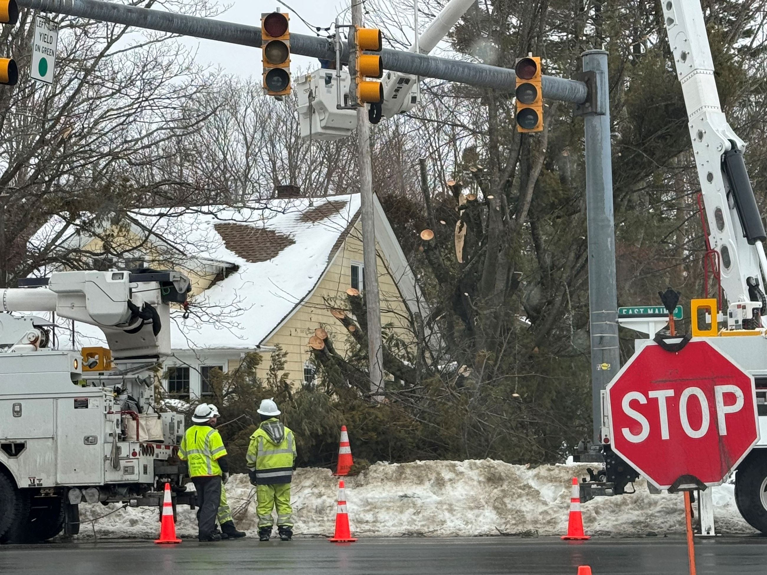 Limbs Down At East Main Road and Wyatt Roads RI Energy