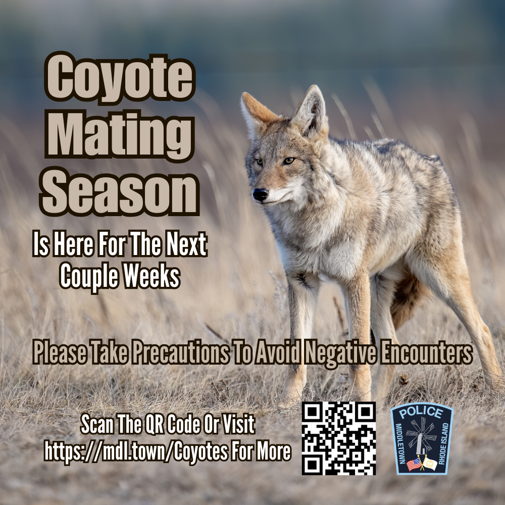 Coyote Mating Season 3