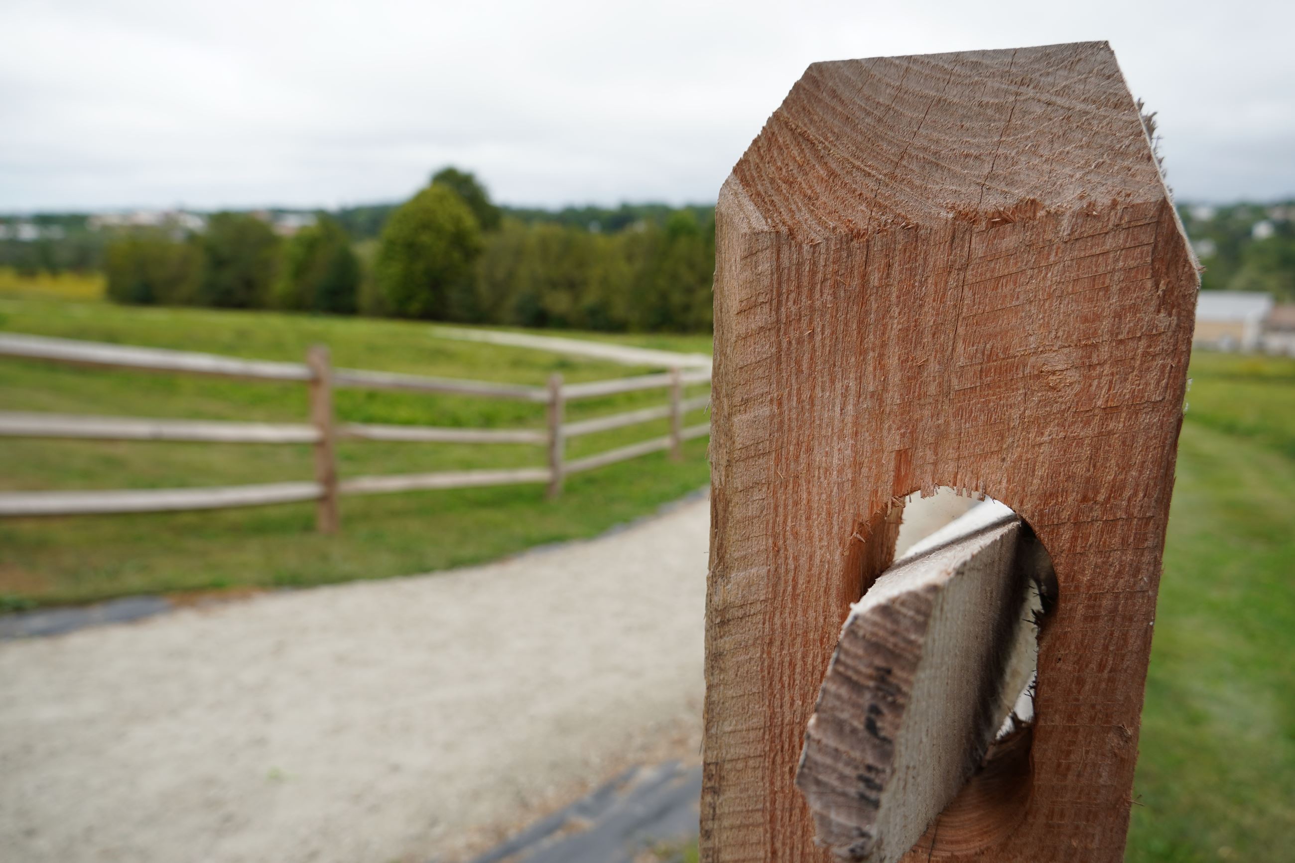 625A0DE7-2C32-48C3-A90E-0D1ED5C63B30