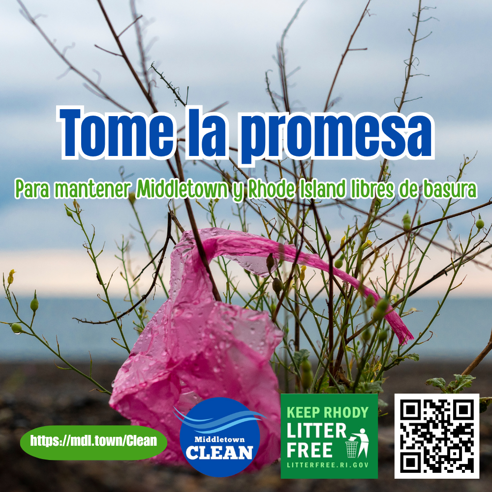 Middletown Clean Take The Pledge Graphic 72925 Spanish