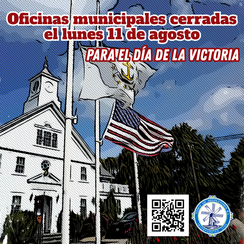 Victory Day Graphic 81125 Spanish