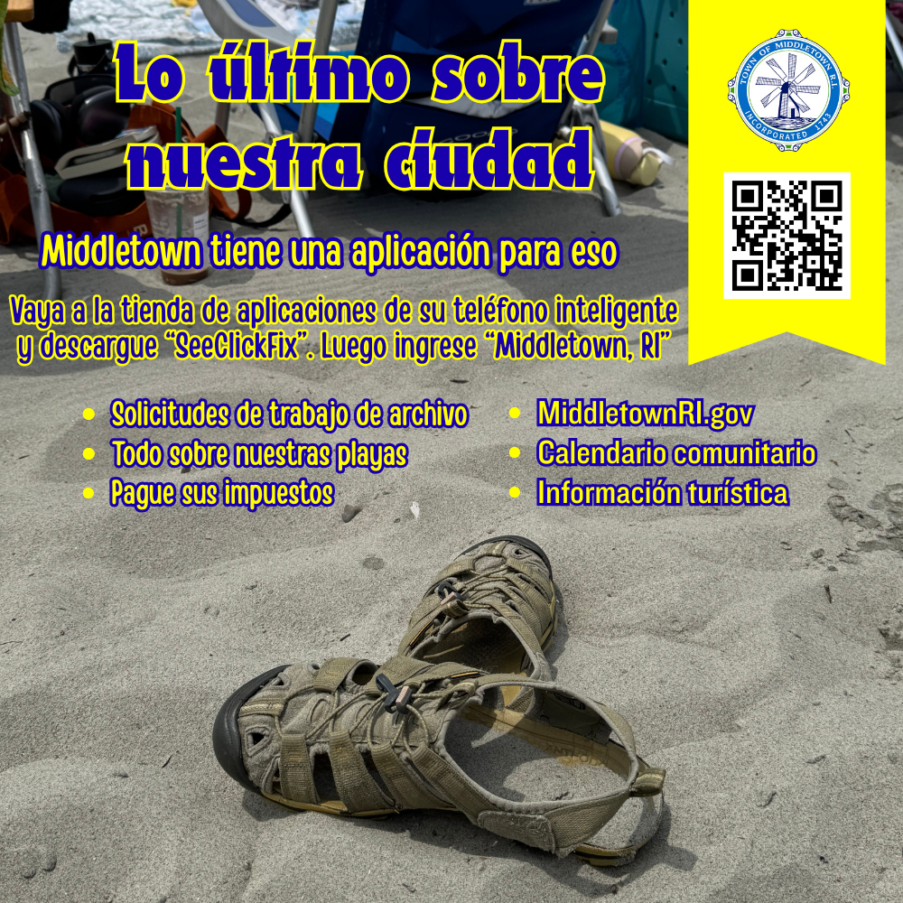 Middletown App Graphic Beach Shoes Spanish
