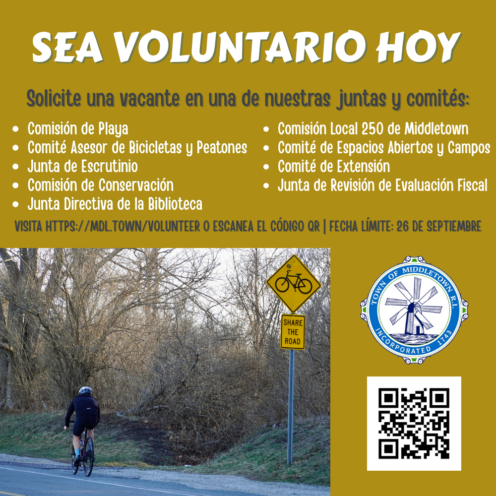 Boards And Commission Vacancies Graphic 1 92625 Spanish