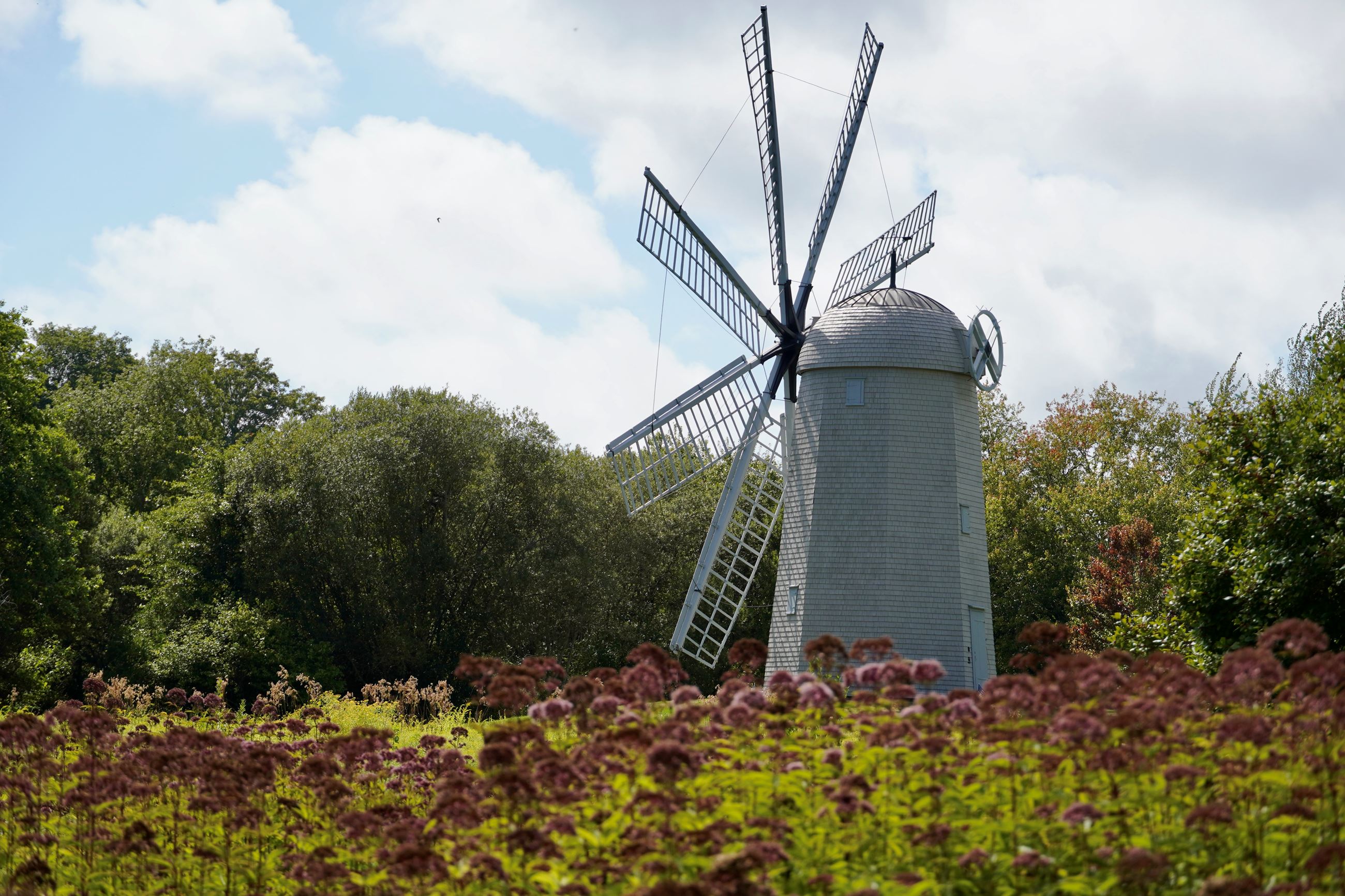 Boyds Windmill Paradise Valley Park 3