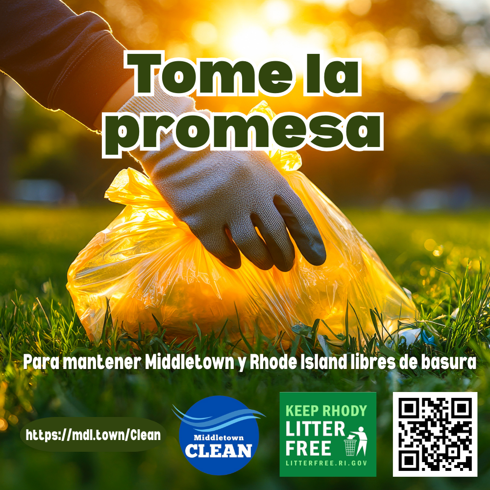 Take The Pledge Graphic 92925 Sun With Gloved Hand Spanish