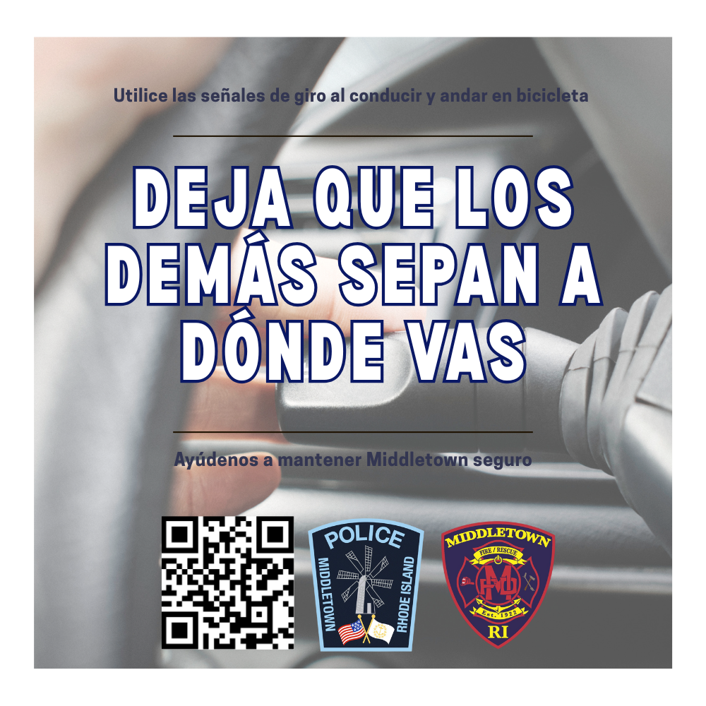 Public Safety Series Turn Signals Graphic With Image Of Driver Behind The Wheel 10725 Spanish