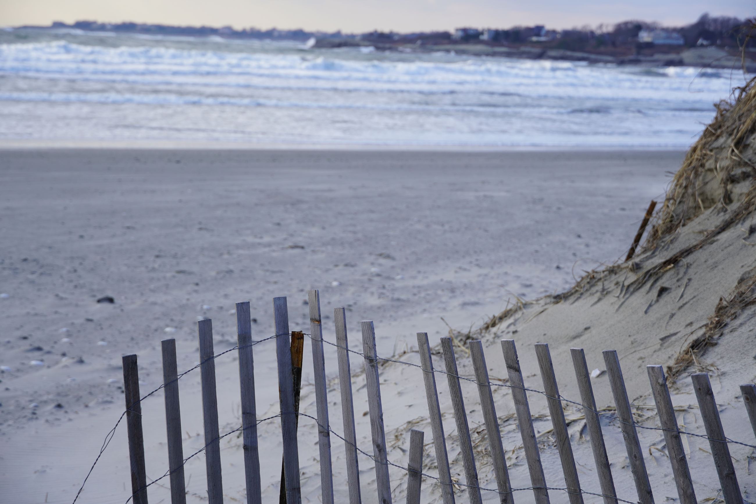 Snow Fencing At Second Beach In The Offseason