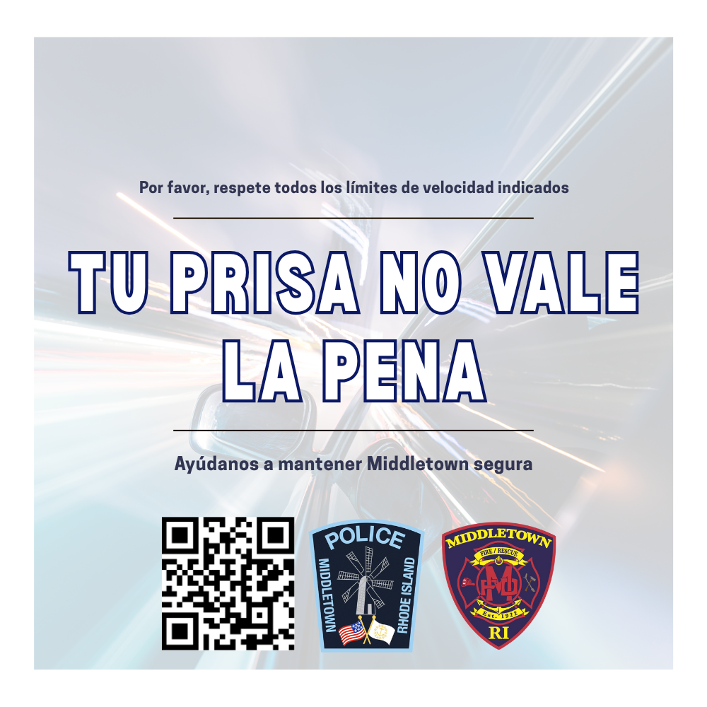 Public Safety Series Graphic Speeding 11425 Spanish