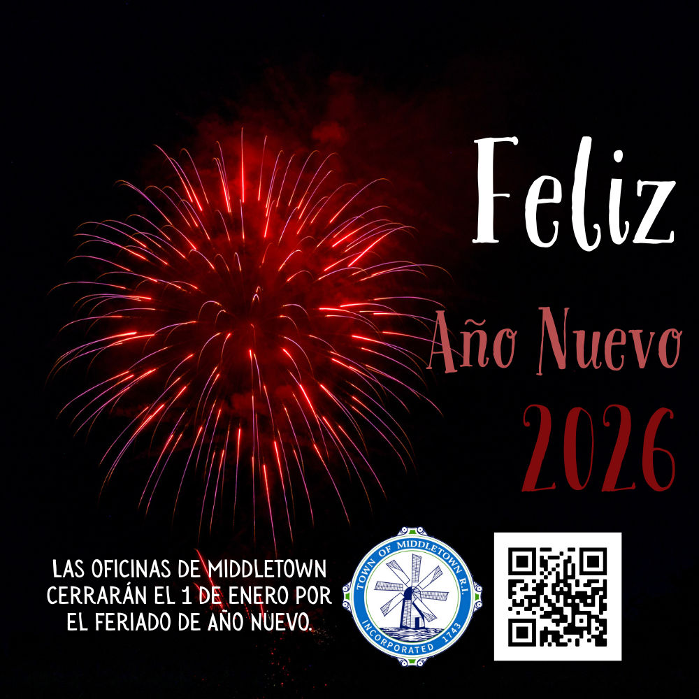 New Years Day Closing Reminder With Red Fireworks Spanish