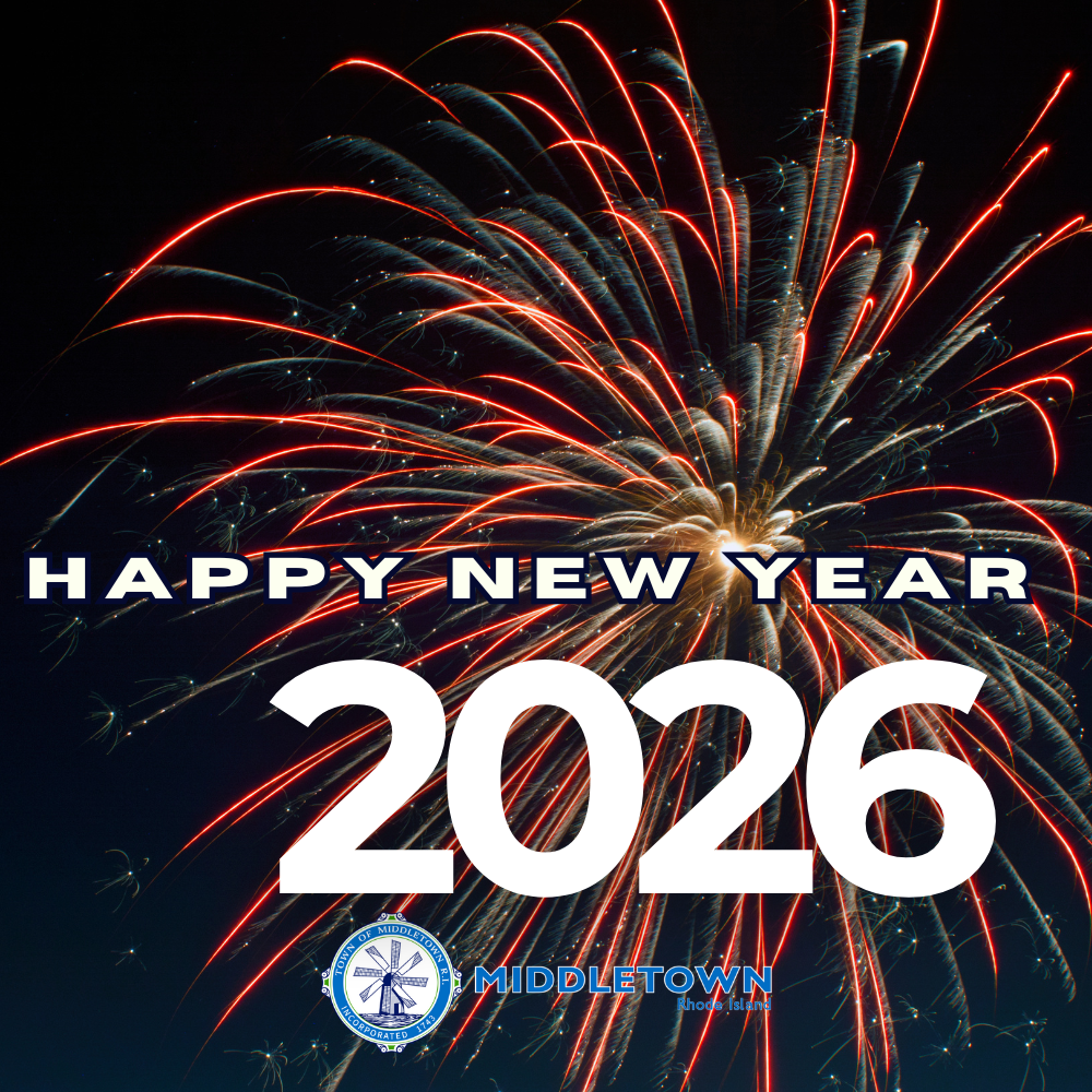 Happy New Years 2026 Fire Works