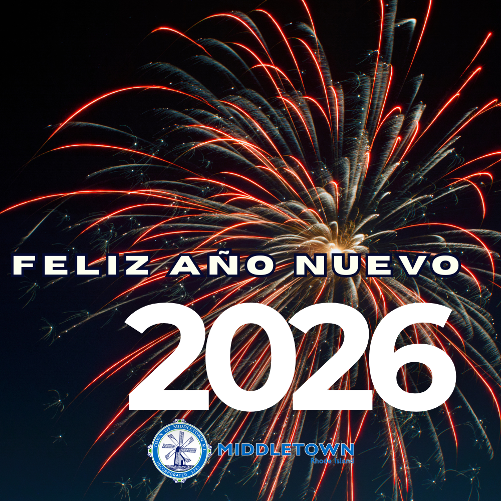 Happy New Years 2026 Fire Works Spanish