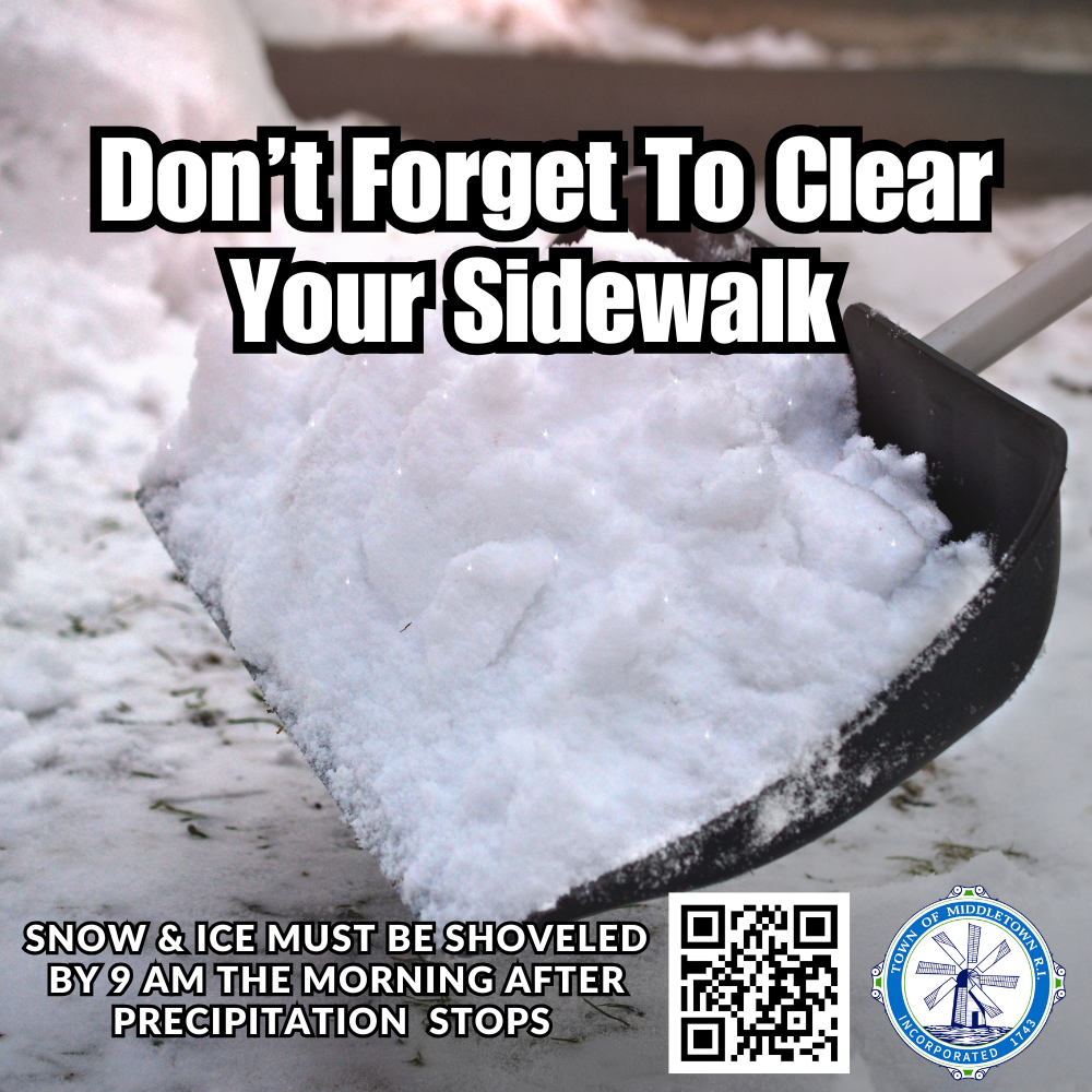 Shoveling Your Sidewalk Graphic Large Snow Shovel Gray 122325