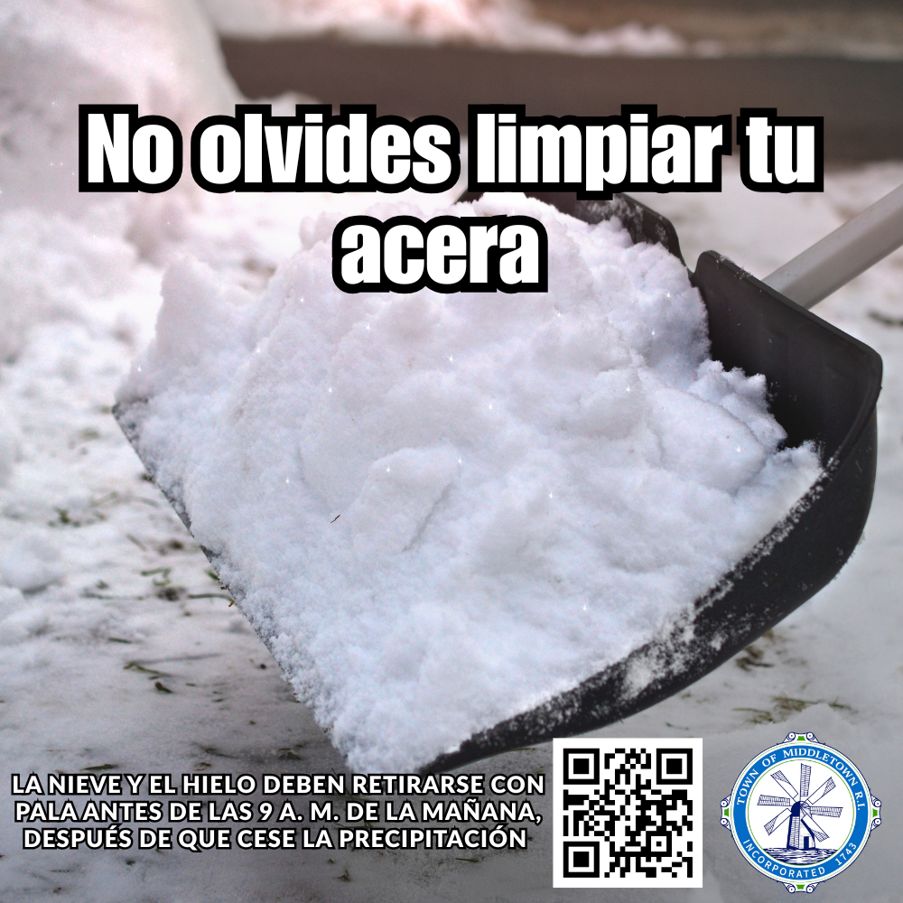 Shoveling Your Sidewalk Graphic Large Snow Shovel Gray 122325 Spanish