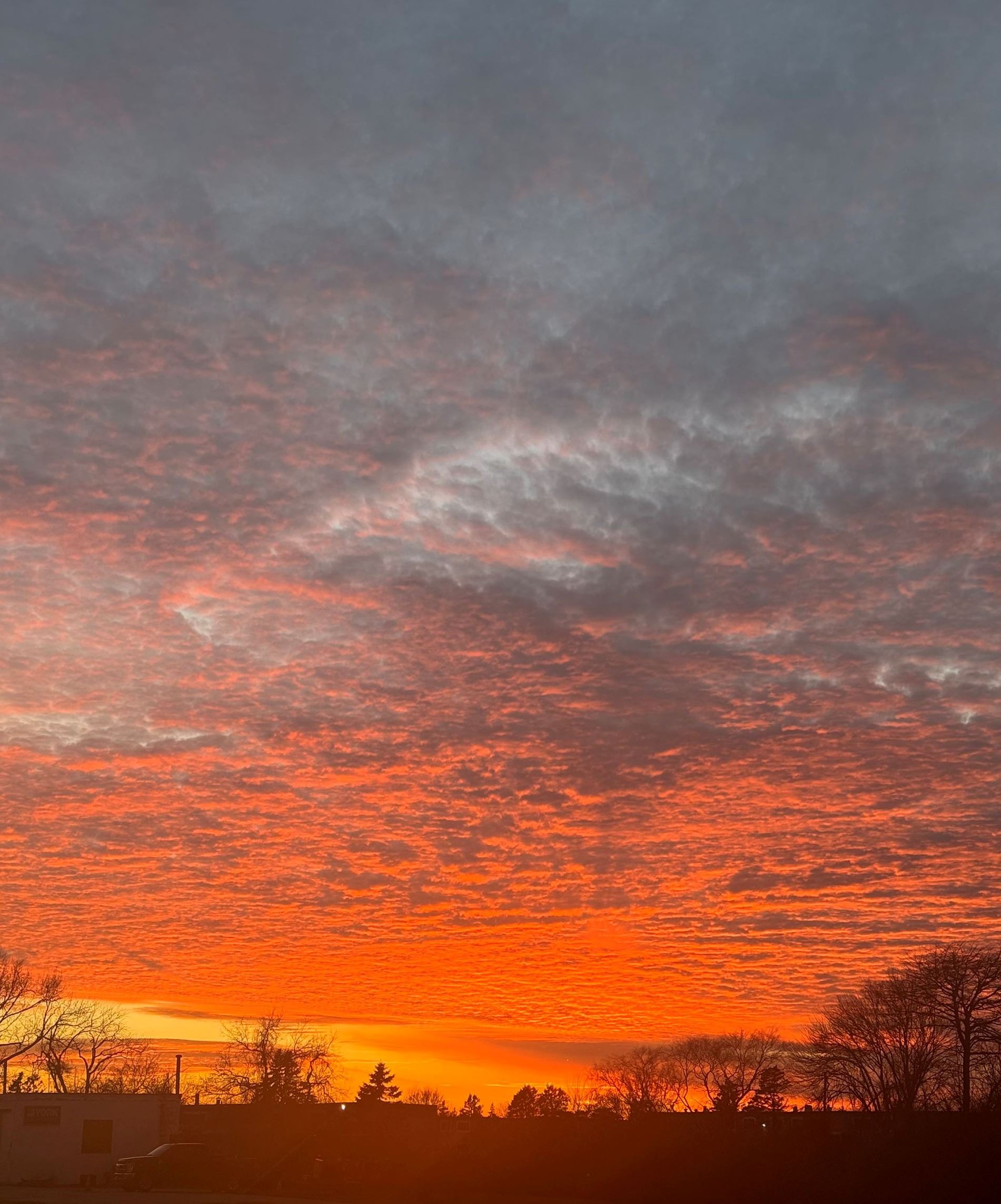 Amazing Sunset Over Forest Avenue 122025