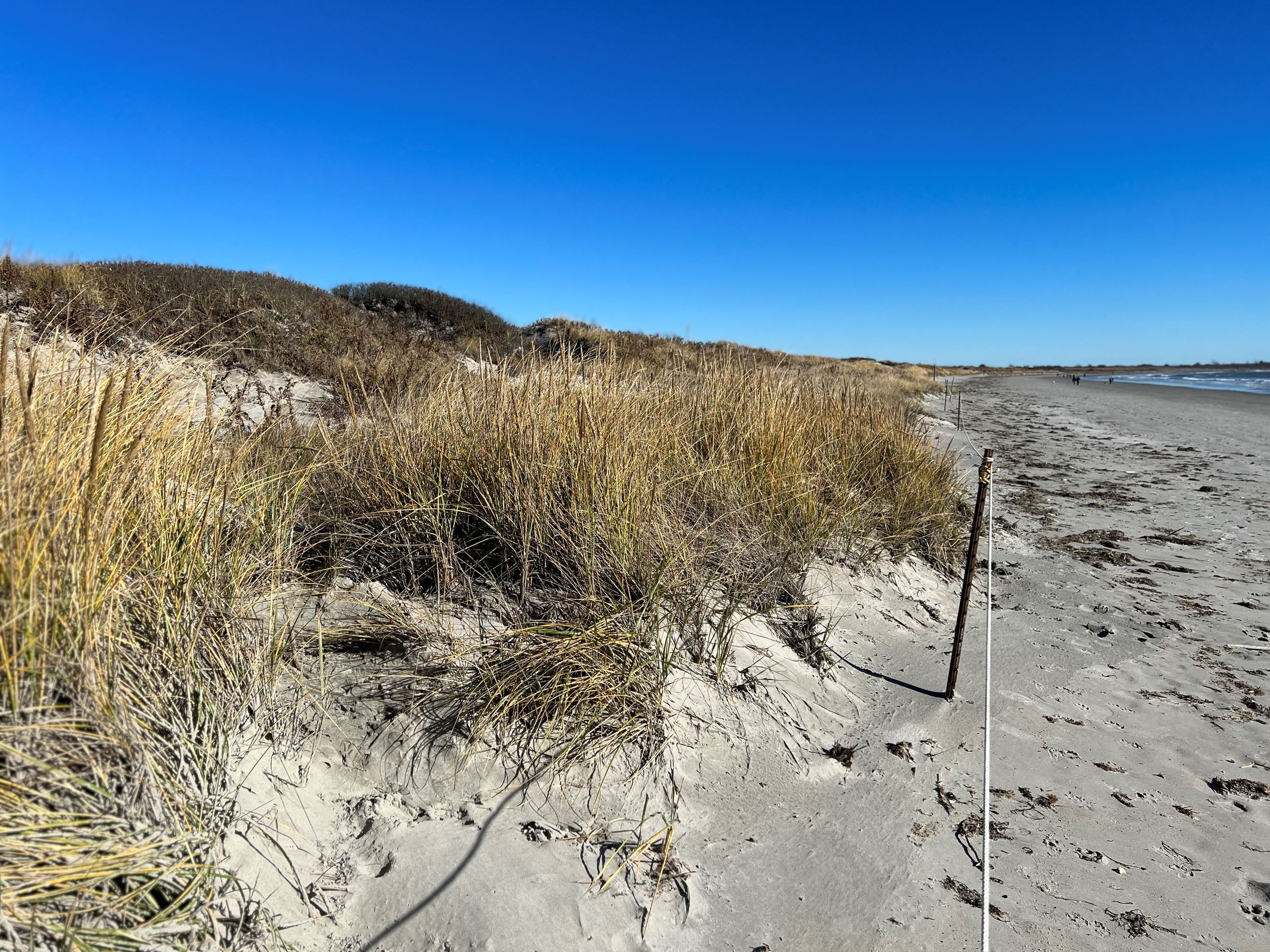 Second Beach Off Season Dune