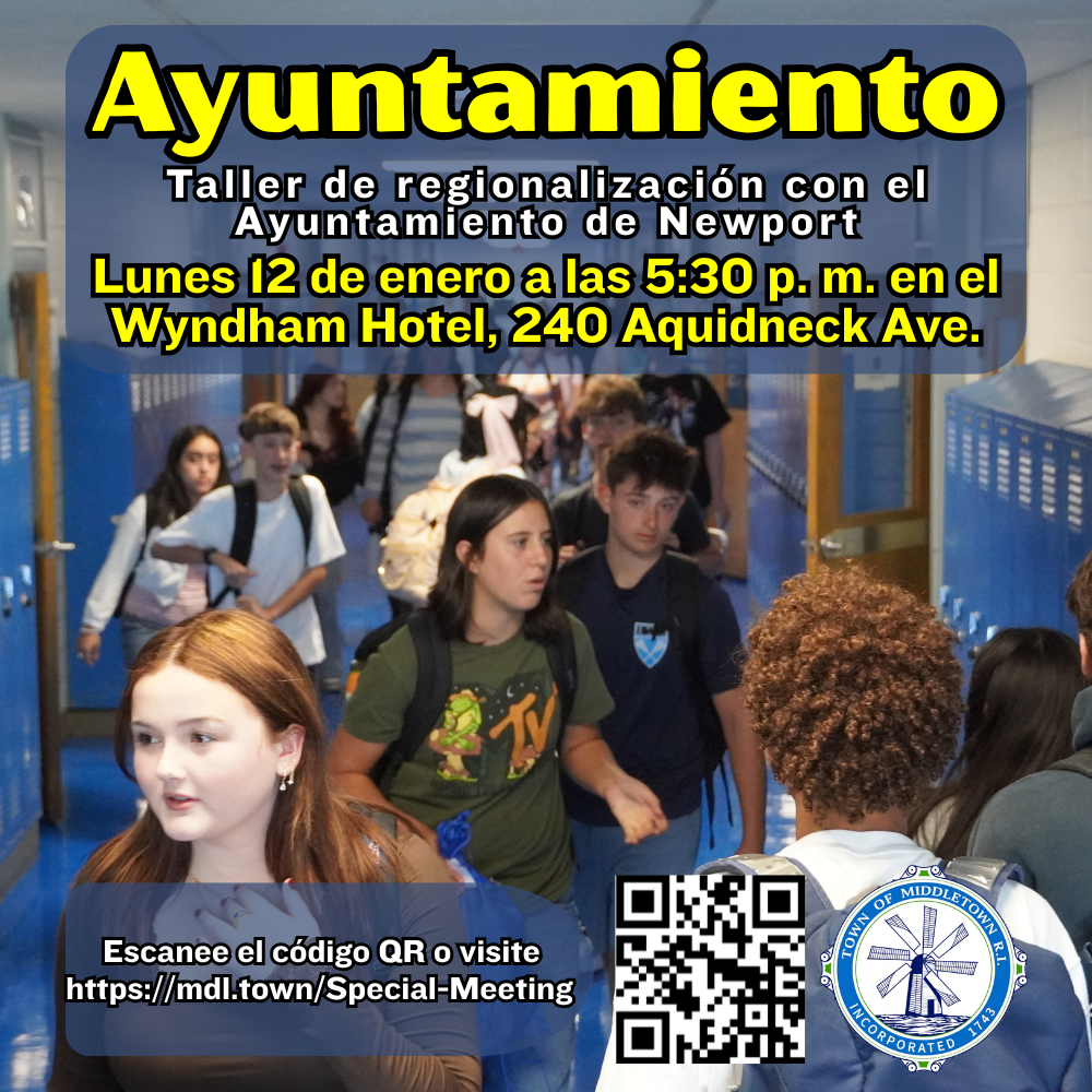 Regionalization Workshop Special Meeting With Newport 11226 Spanish