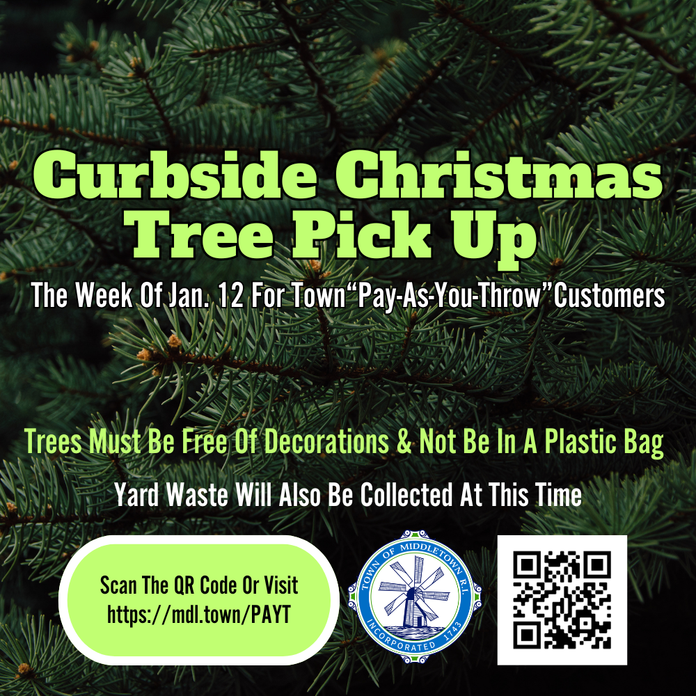 Christmas Tree & Yard Waste Collection Graphic Evergreen Tree 1826