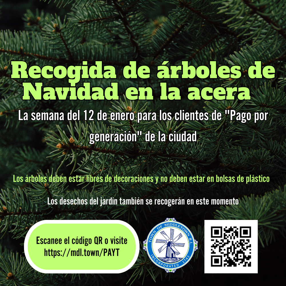 Christmas Tree & Yard Waste Collection Graphic Evergreen Tree 1826 Spanish