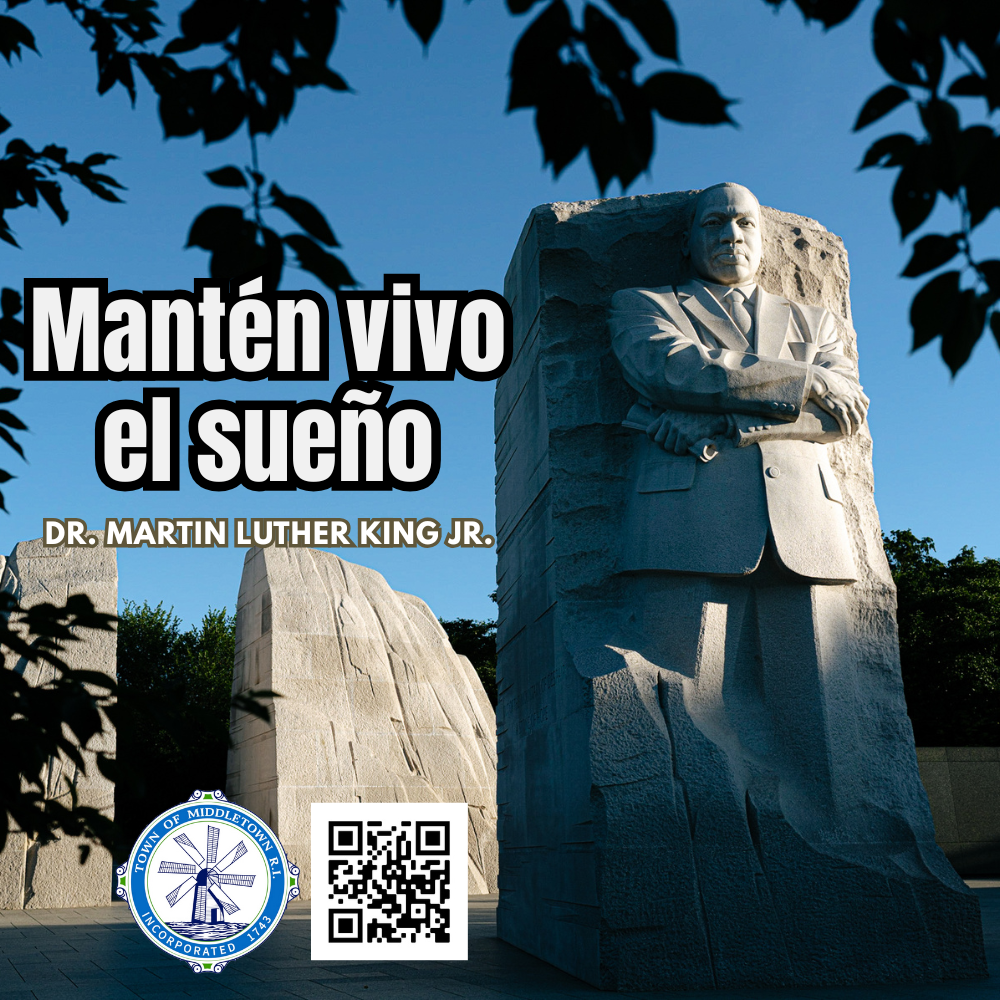 MLK Dream Graphic 11926 Spanish