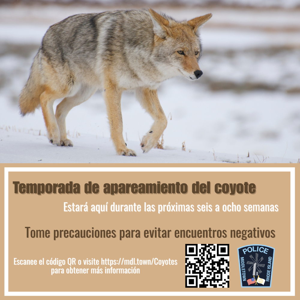 Coyote Public Service Announcement Mating Graphic Spanish