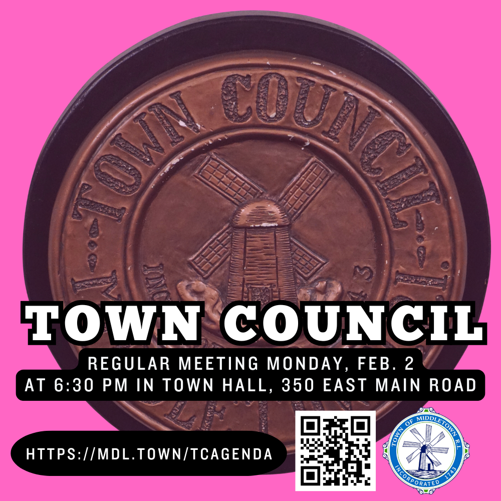 Town Council Regular Meeting Graphic 2226 Pink