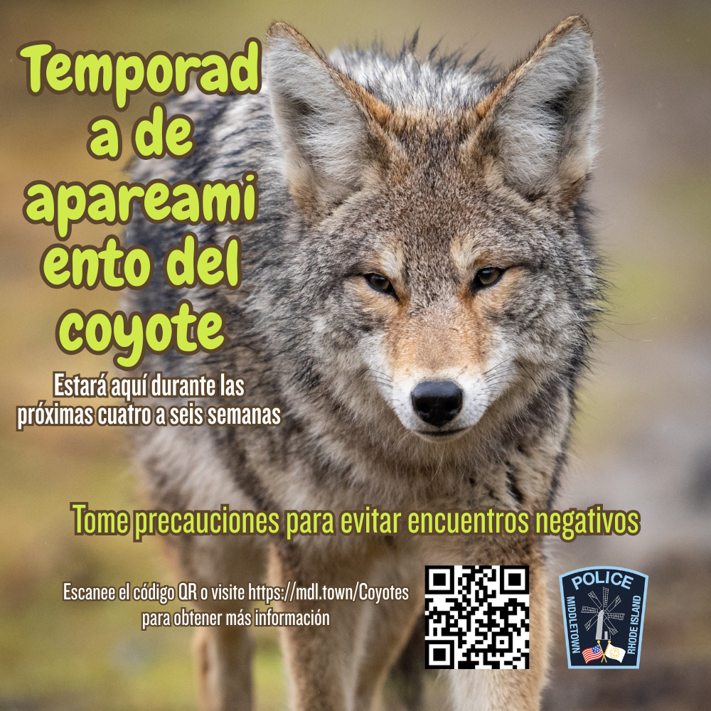 Coyote Management PSA From Animal Control Officer Olivia Garcia 2426