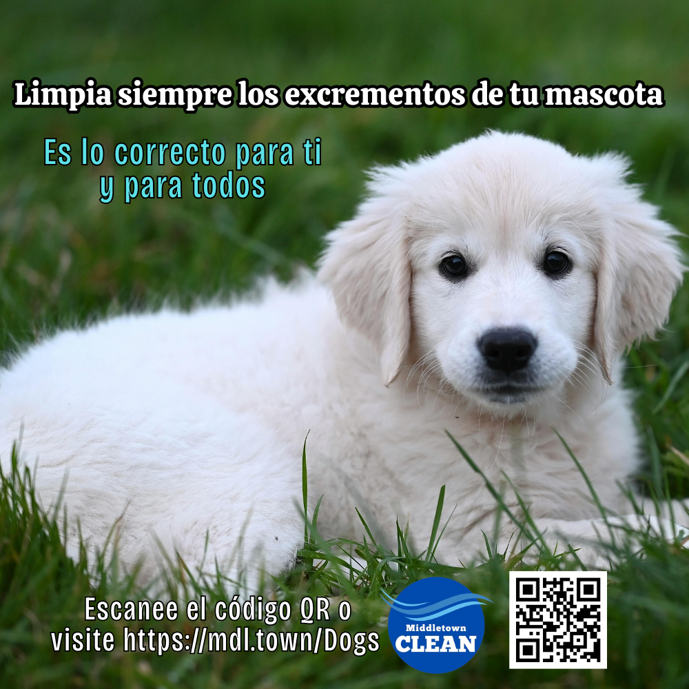Clean Up After Your Canine Cute White Pup Spanish 