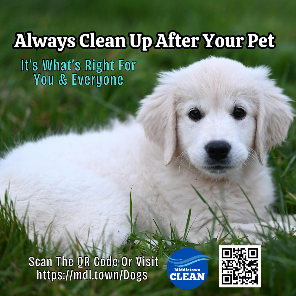 Clean Up After Your Canine Cute White Pup