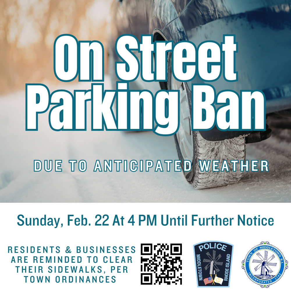 On-Street Parking Ban 22226 Snowy Tire Teal