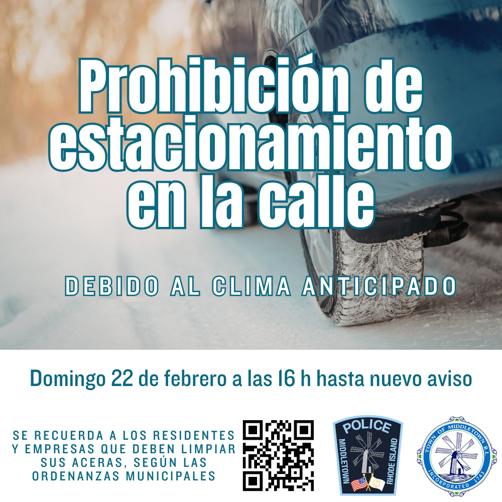 On-Street Parking Ban 22226 Snowy Tire Teal Spanish