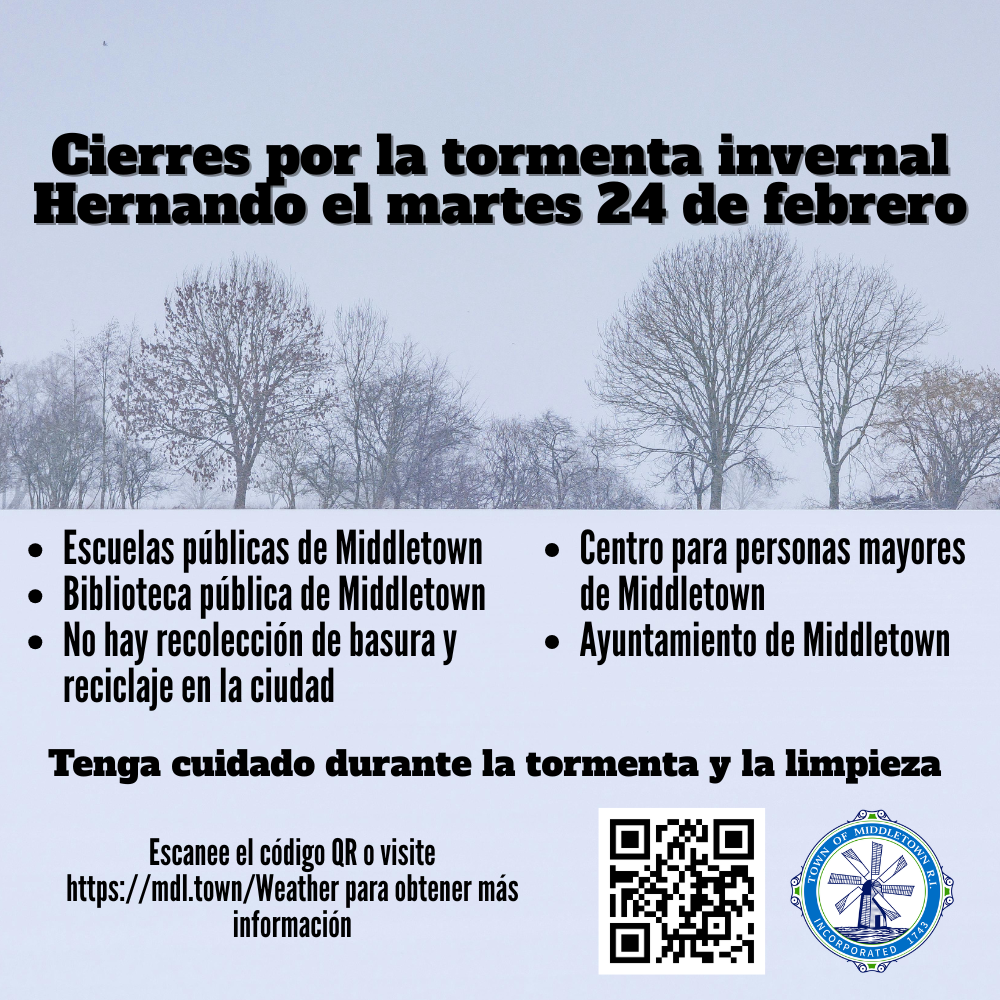 Winter Storm Hernando Closure Box 22326 Snowy Tree Line Spanish