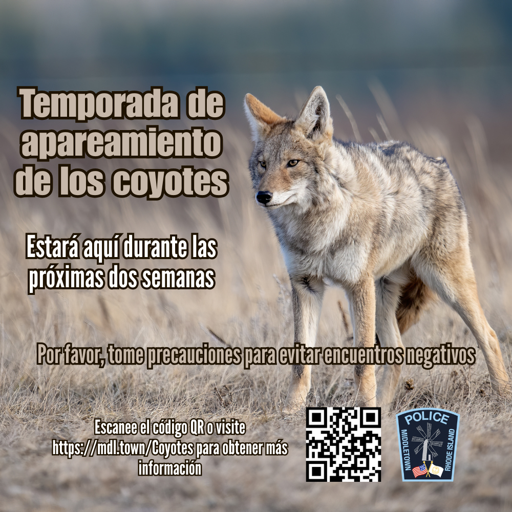 Coyote Mating Season 3 Spanish