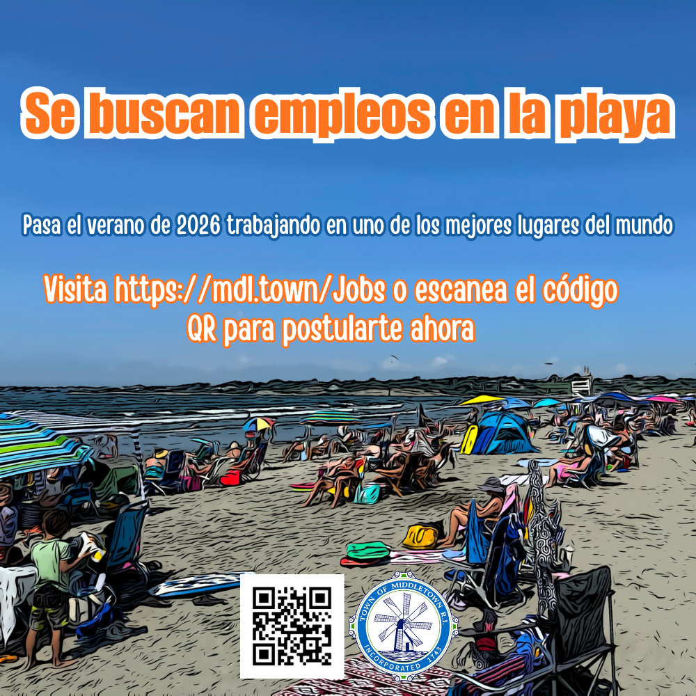 Beach Jobs Open Summer 2026 Artistic Beach Shot Spanish