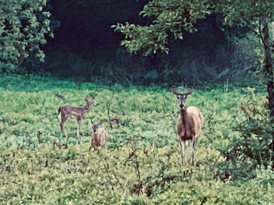 222407251_10224225262753601_4208010930174503365_n