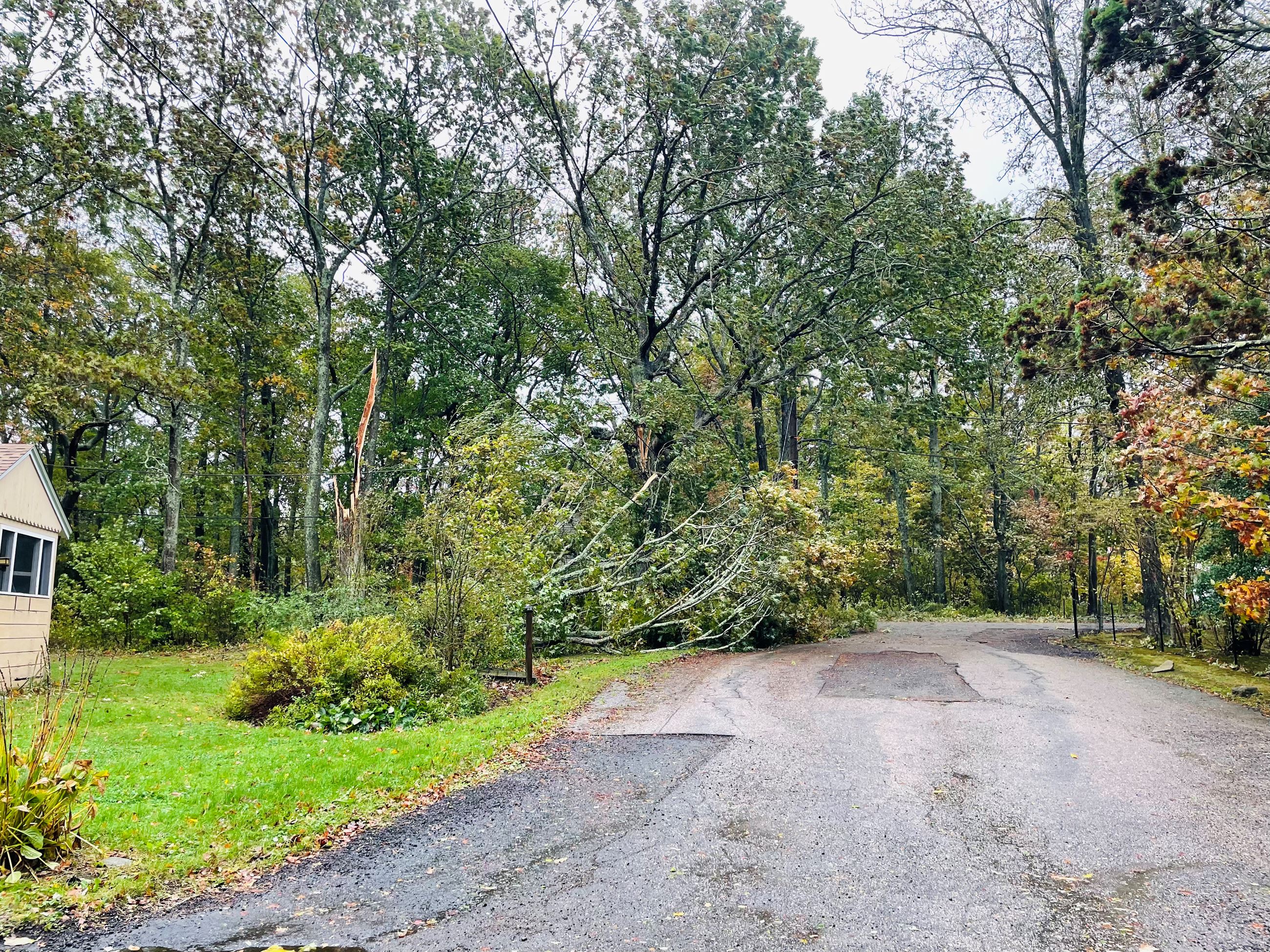 FullSizeRender-preview 2