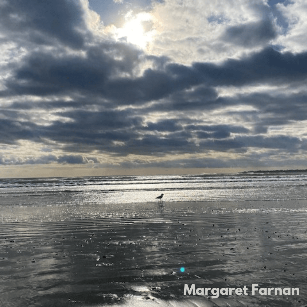 MB Margaret Farnan-2