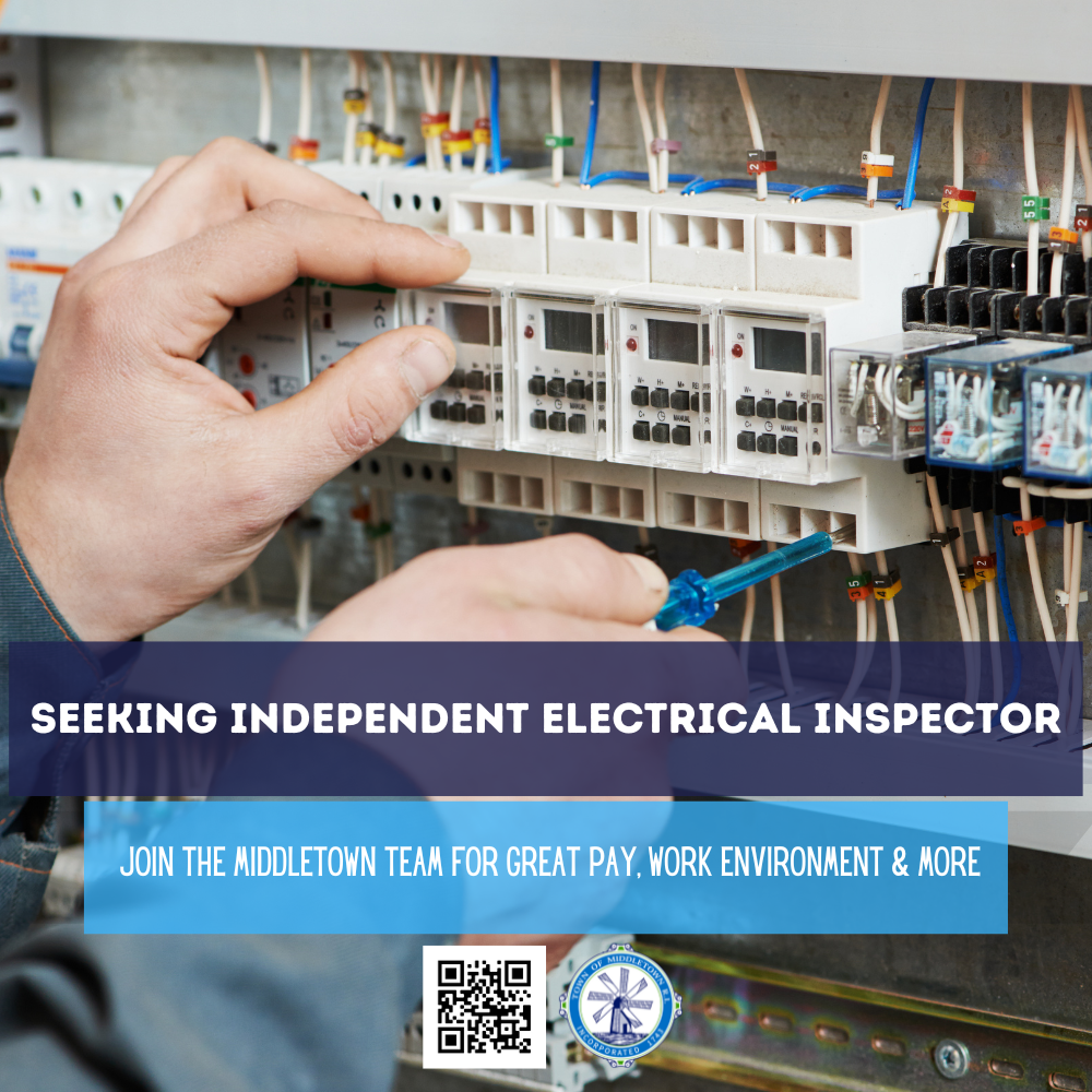 Electrical Inspector-4
